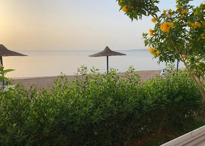 Furnished For Rent In Cecilia Hurgada